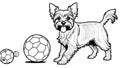 Yorkshire Terrier Coloring Page: Playful Ball Game
